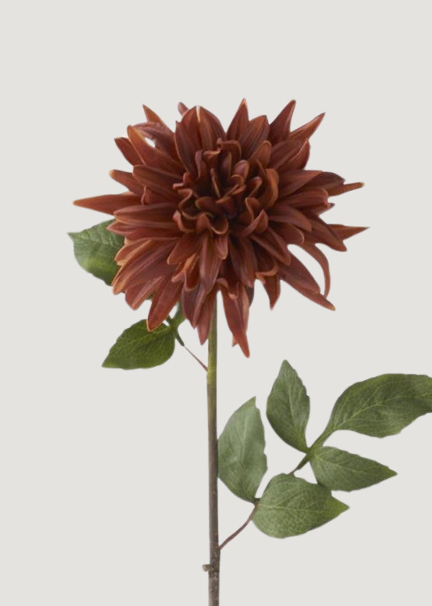 Real Touch Dahlia Fake Flower in Earthy Brown - 28.25"