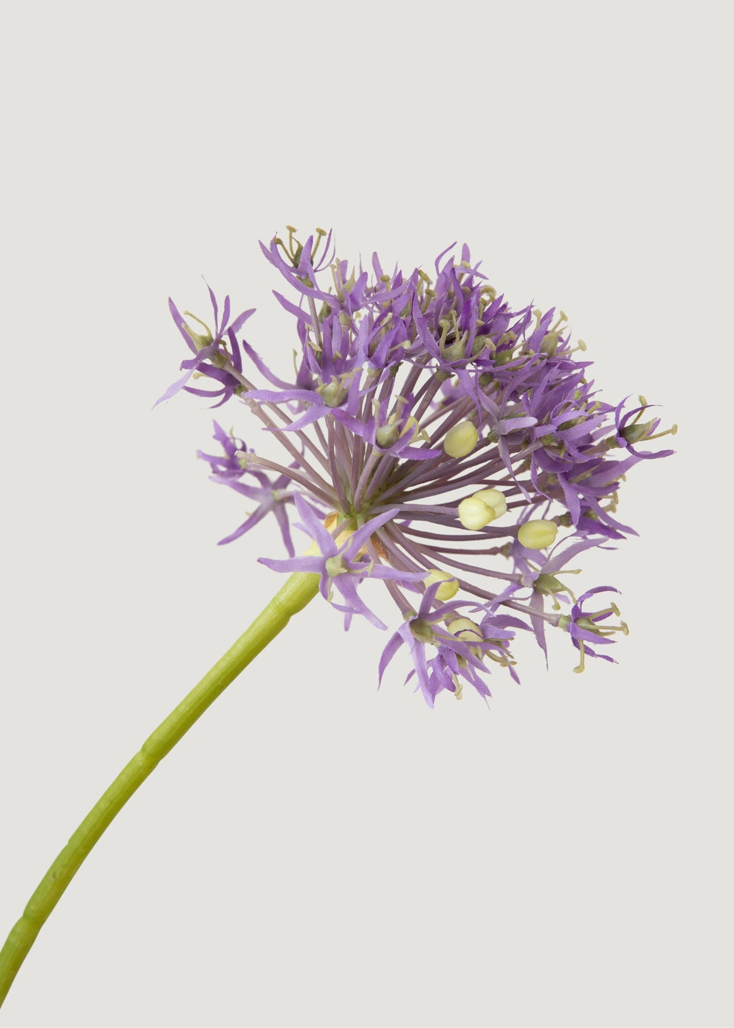 Artificial Allium Wildflower Bundle in Lavender - 30"