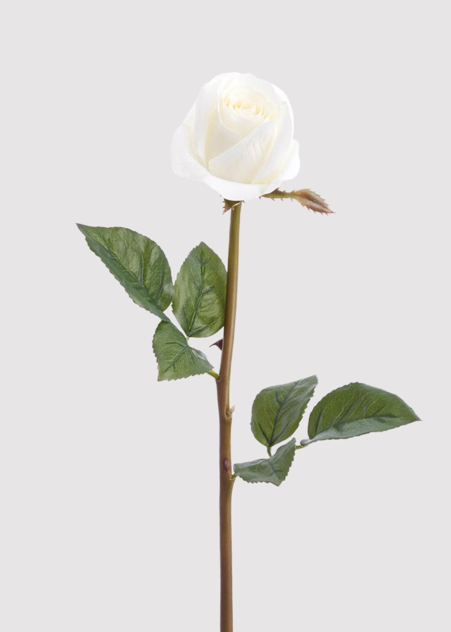 Real Touch Rose Bud Fake Flower in White - 23"