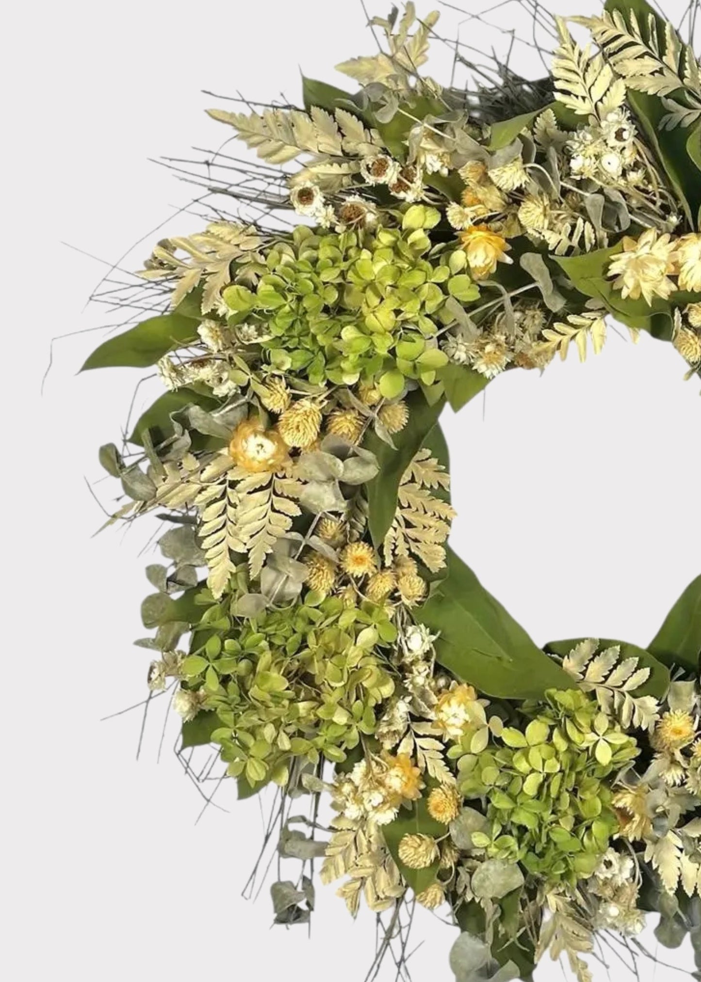 Cream Green Dried Hydrangea Flower and Eucalyptus Wreath - 22"