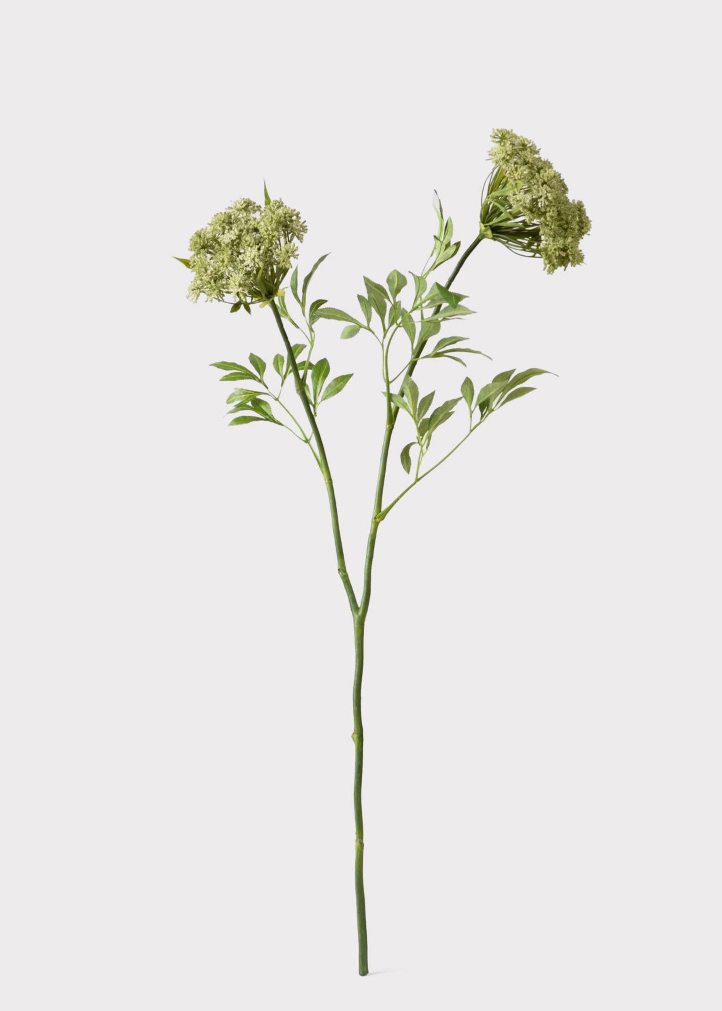 SAVE - Faux Queen Anne's Lace Wildflowers - 36"