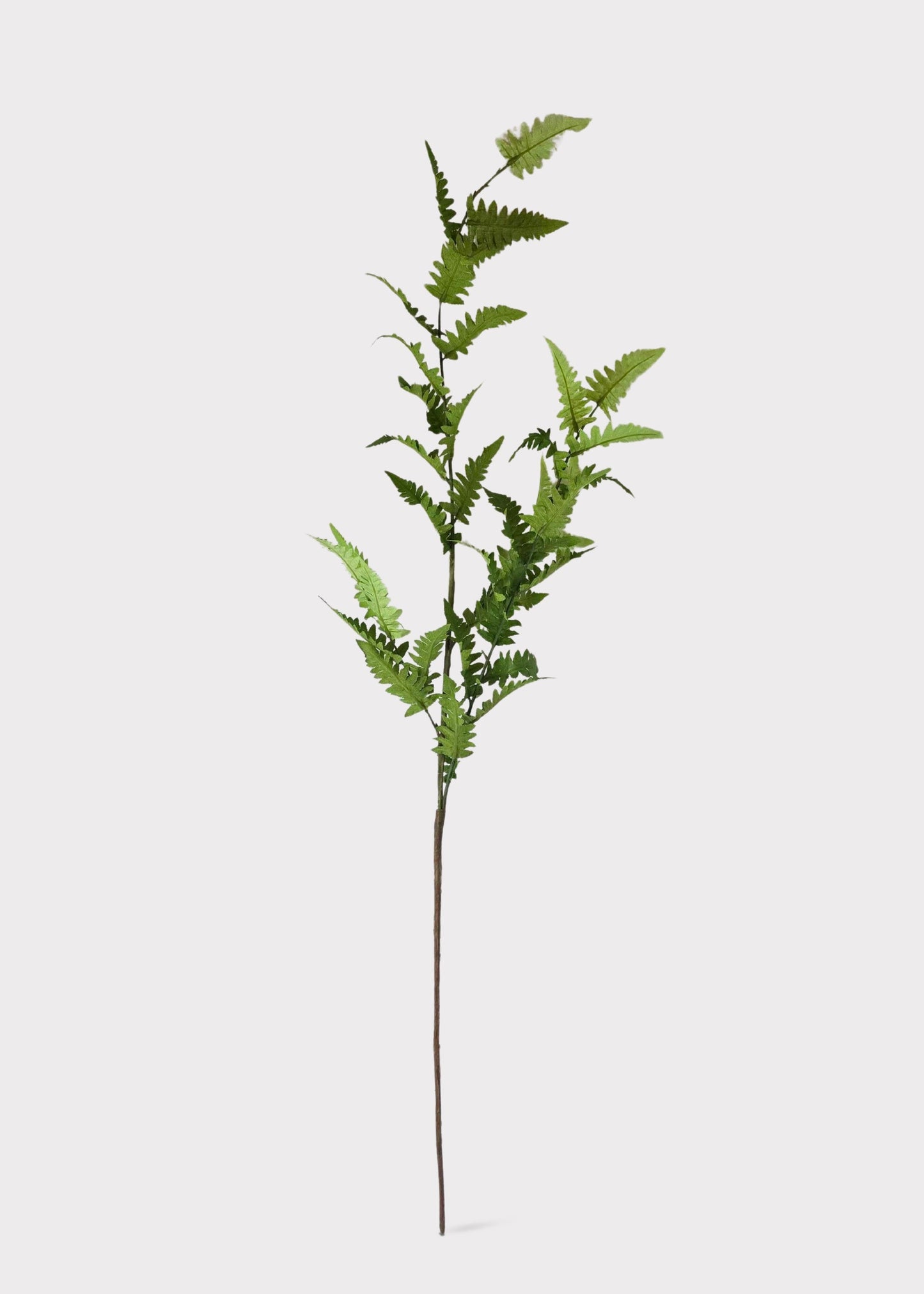 Tall Artificial Wild Fern Leaf Greenery Branch - 48"