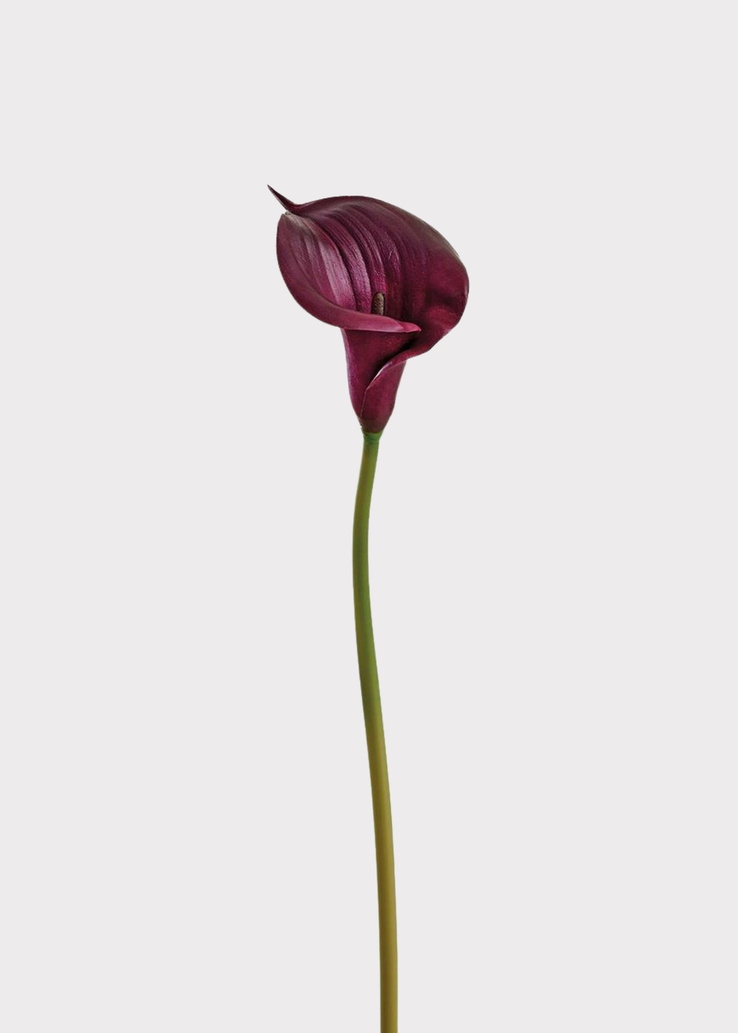 Plum Purple Artificial Calla Lily Real Touch Flower - 33"