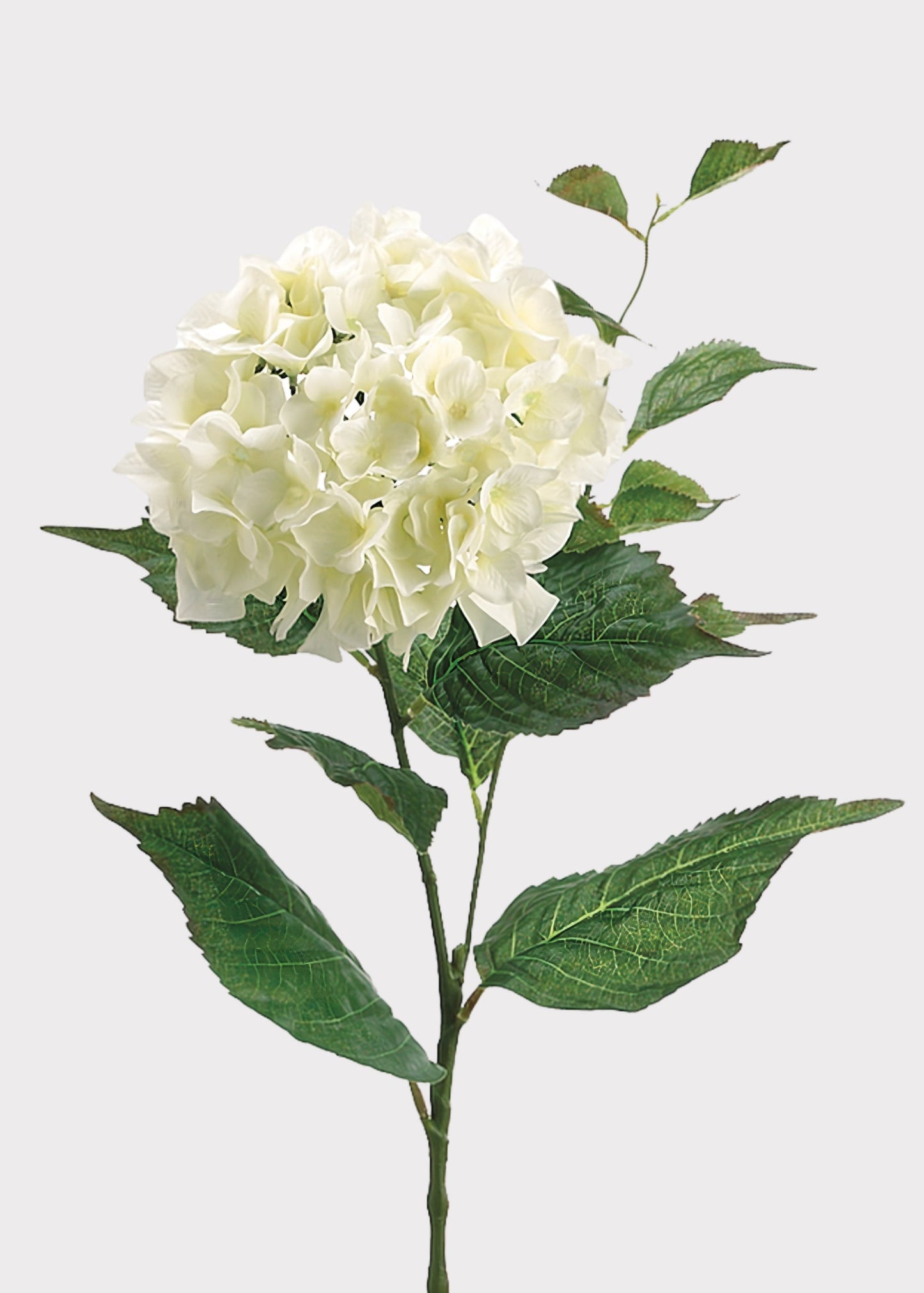 Fake Hydrangea Flower in Cream White - 34"