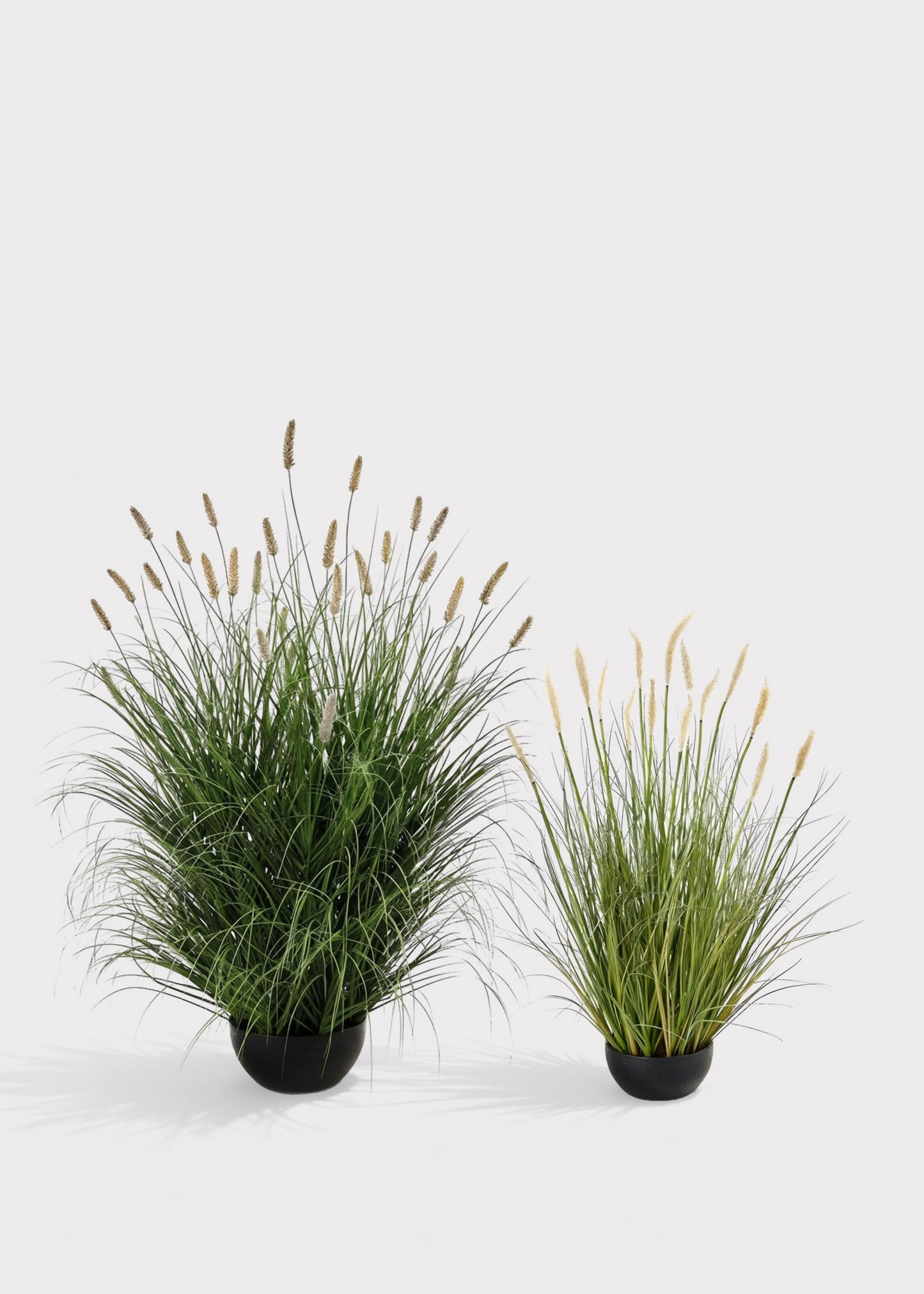 Large Artificial Potted Foxtail Grass Plant - 47"