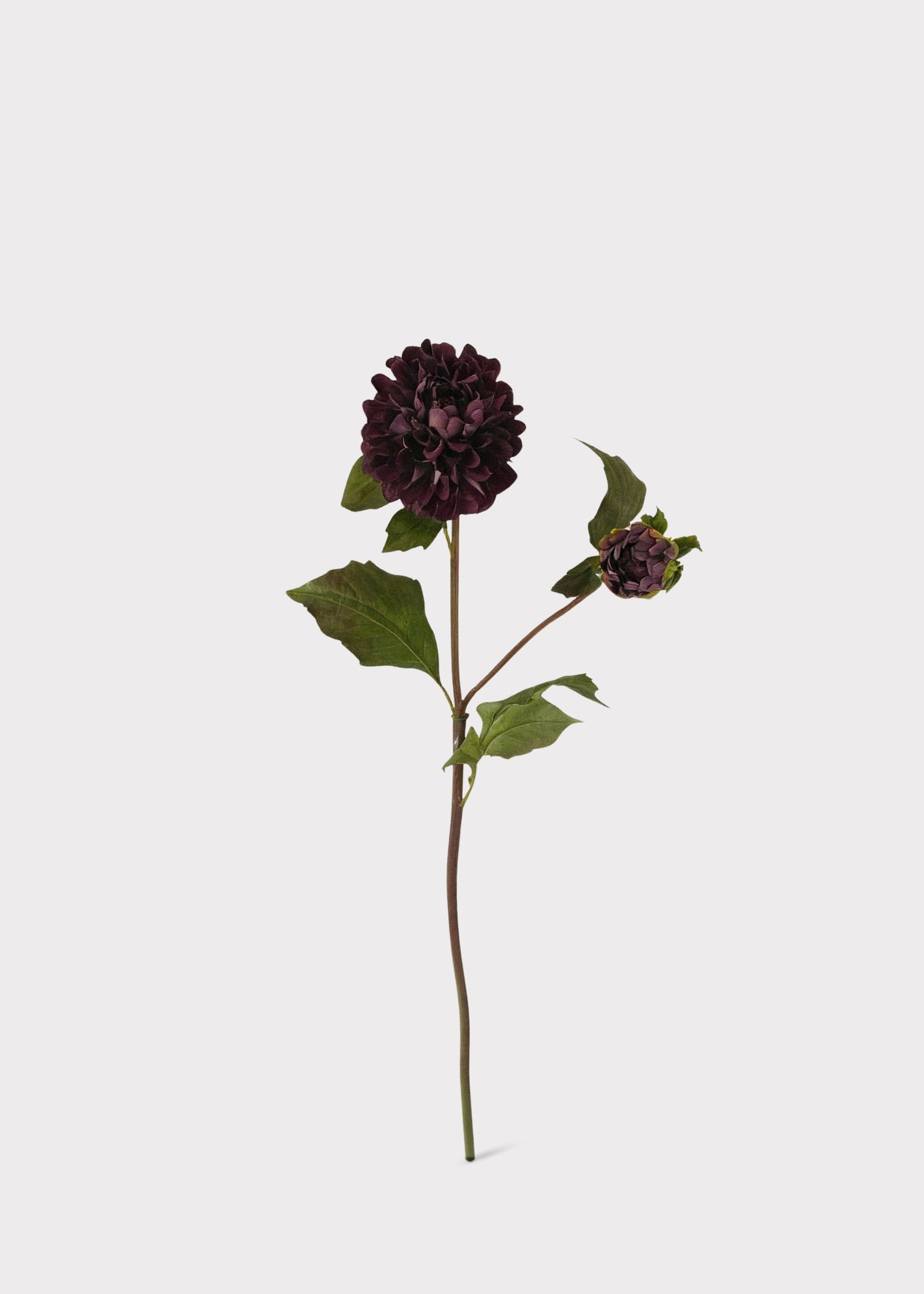 Artificial Dahlia Flower in Burgundy - 20"
