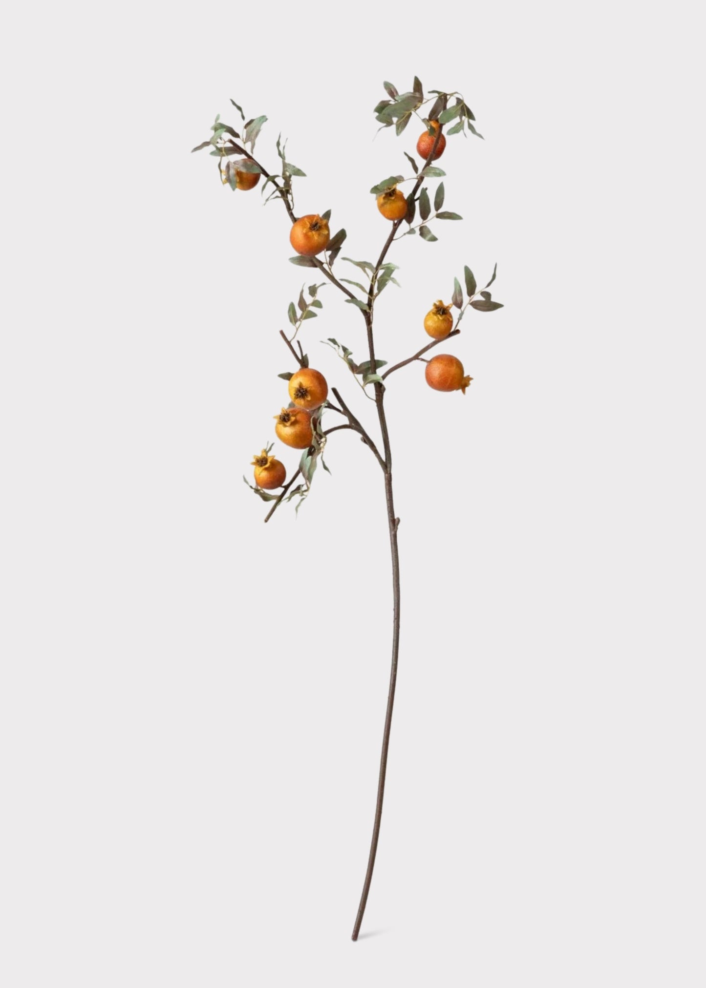 Dried Look Faux Pomegranate Branch - 44"