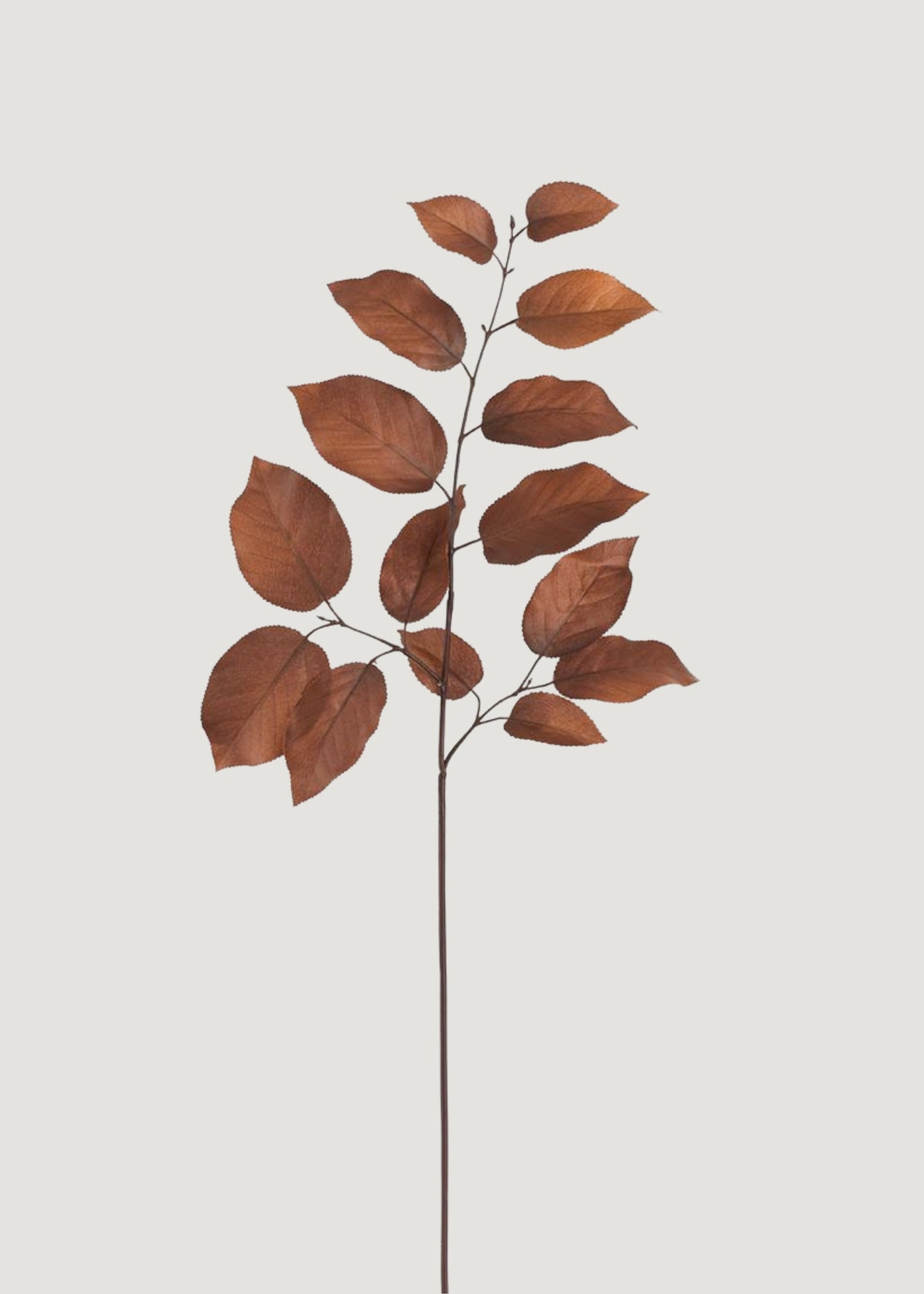 Artificial Salal Leaf Branch in Autumn Brown - 29"