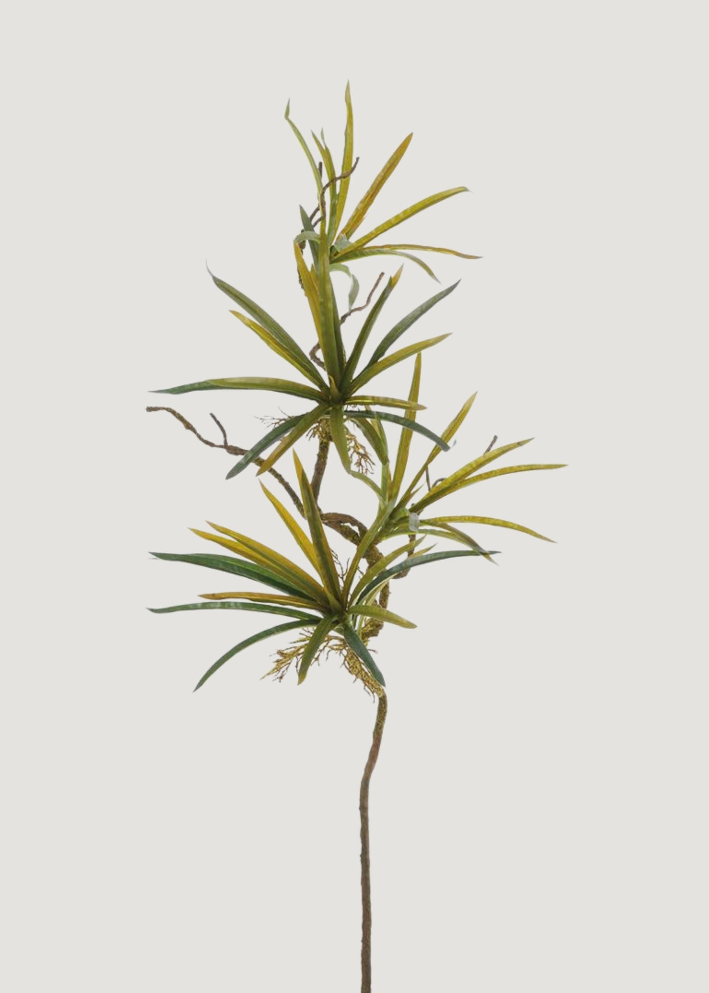 Artificial Dracaena Succulent Hanging Vine - 42"