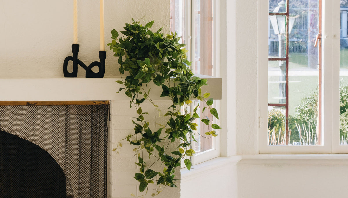 How to Decorate with Artificial Hanging Plants