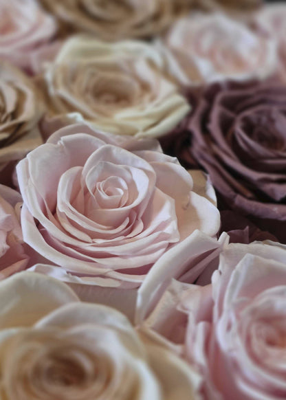 Afloral™ Preserved Rose Head Flower Gift Box - 18 Rose Heads