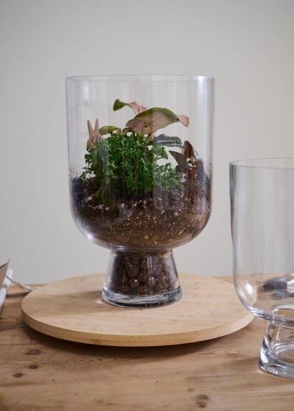 Clear Glass Reservoir Terrarium Footed Vase - 13"