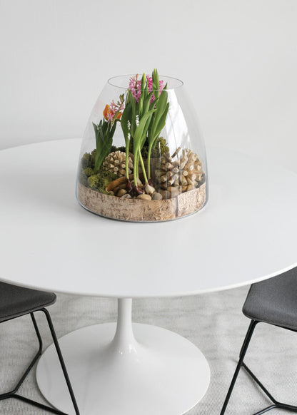 Large Clear Glass Terrarium Vase - 15.25"