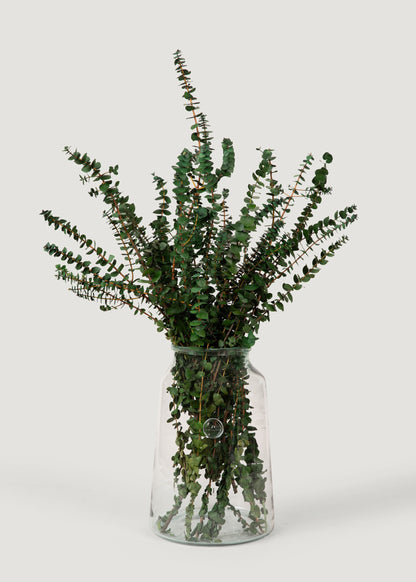 Preserved Eucalyptus Bundle - 1 lb