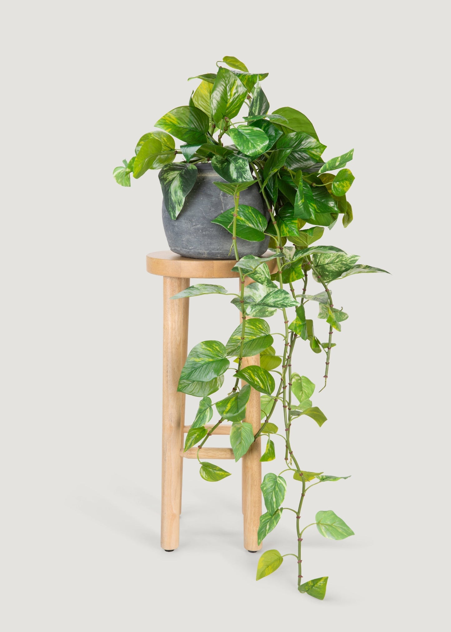 UV Treated Pothos Indoor/Outdoor Natural Touch Hanging Plant - 42"