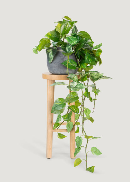 UV Treated Pothos Indoor/Outdoor Natural Touch Hanging Plant - 42"