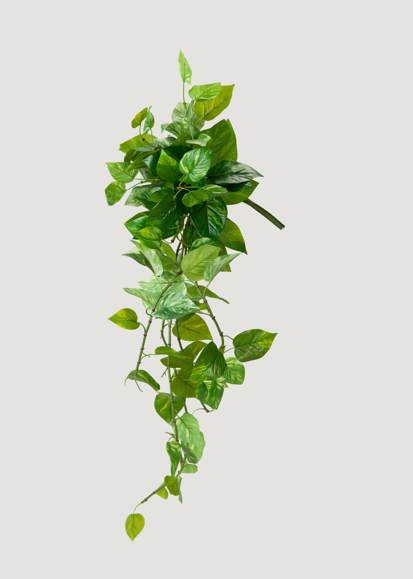 UV Treated Pothos Indoor/Outdoor Natural Touch Hanging Plant - 42"