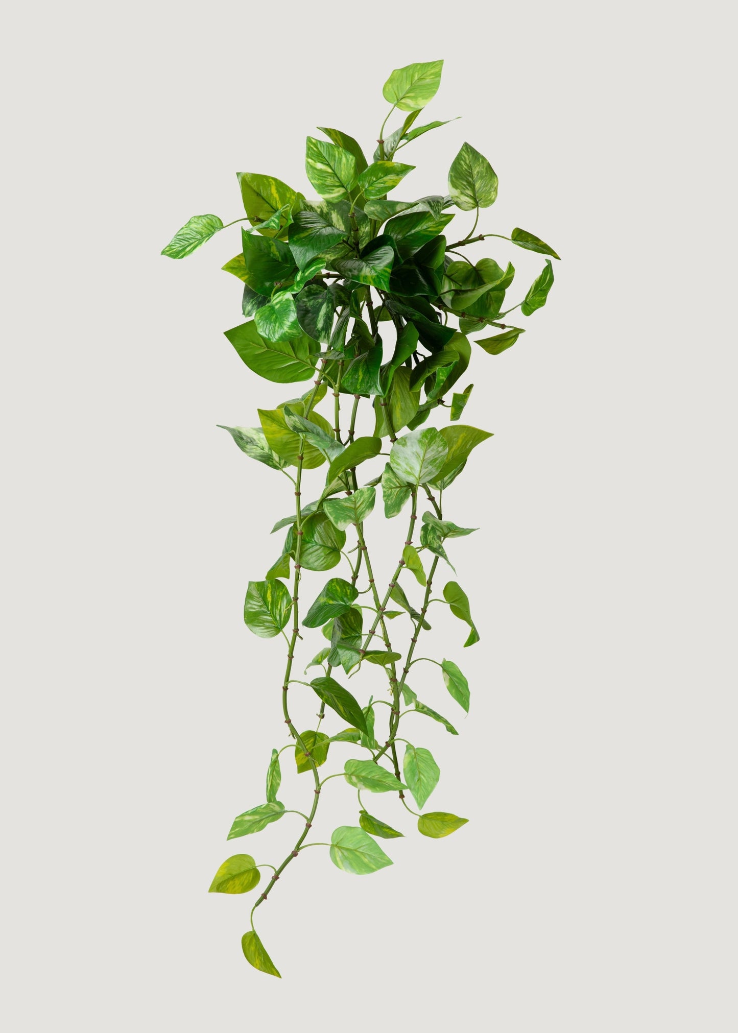 UV Treated Pothos Indoor/Outdoor Natural Touch Hanging Plant - 42"