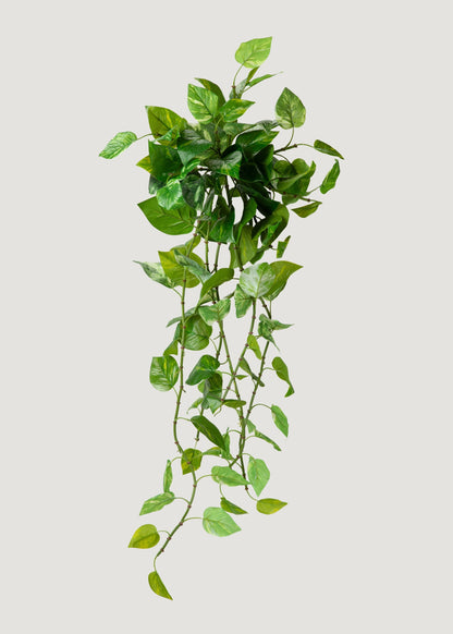 UV Treated Pothos Indoor/Outdoor Natural Touch Hanging Plant - 42"