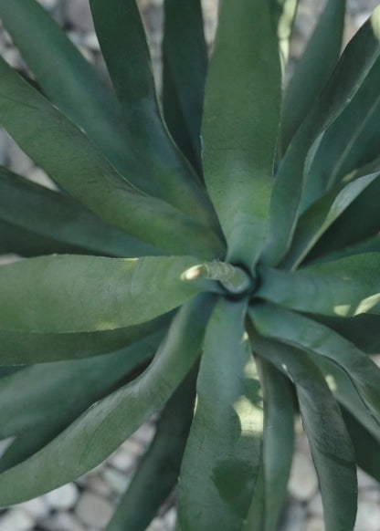 SAVE - UV Resistant Artificial Outdoor Yucca Plant - 27"