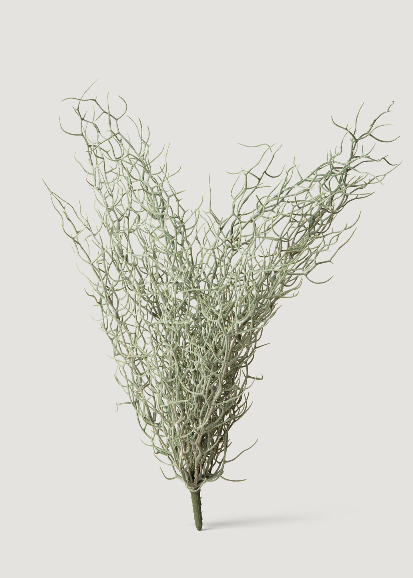 Abigail Ahern Artificial Grass Bush - 26"