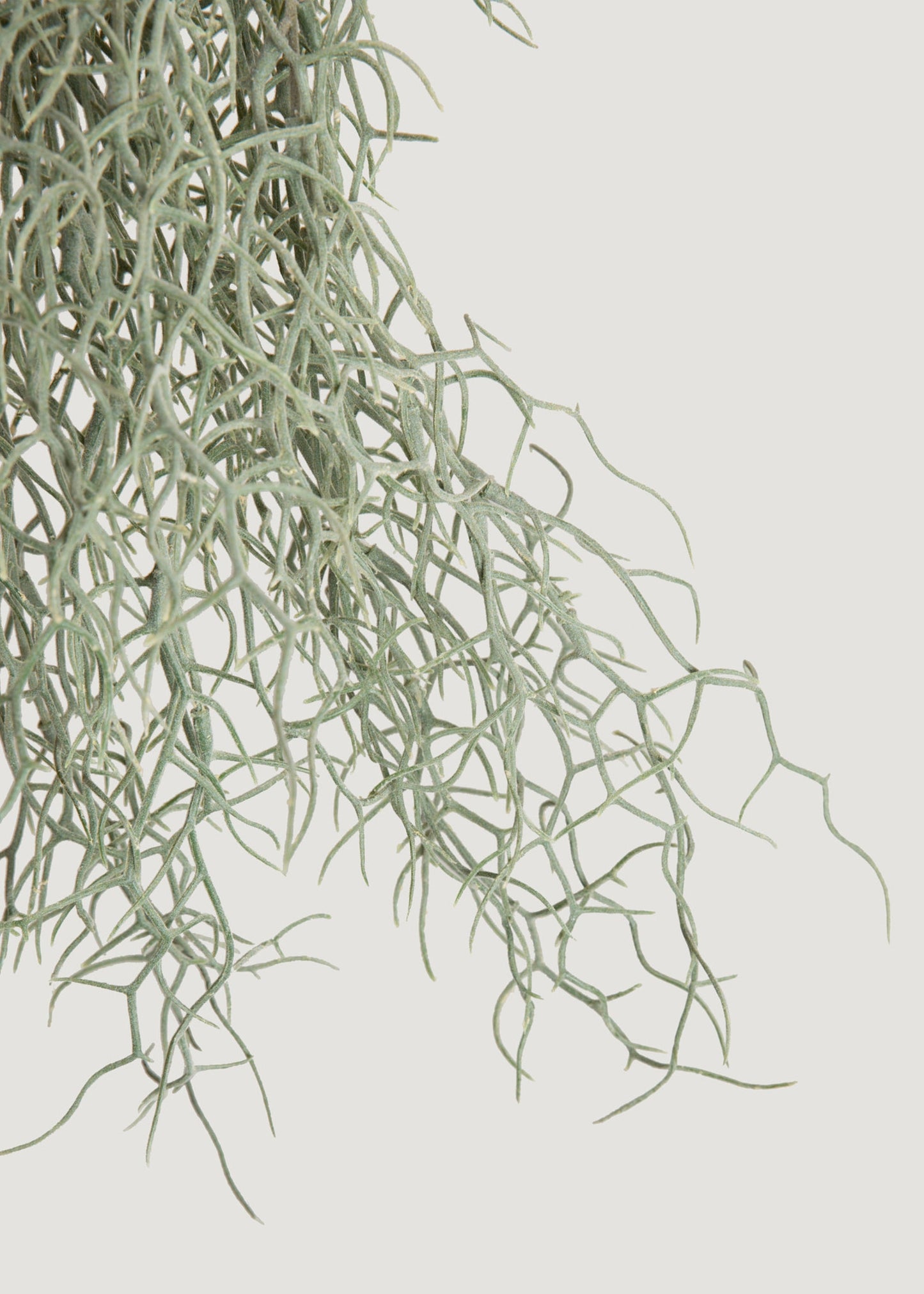 Abigail Ahern Artificial Grass Bush - 26"
