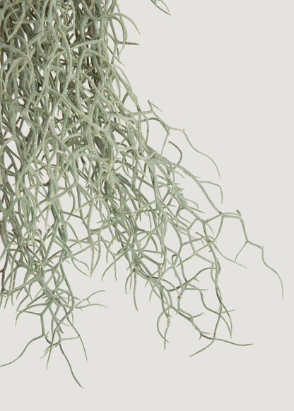 Abigail Ahern Artificial Grass Bush - 26"