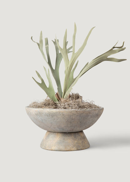 Fake Staghorn Plant - 24.5"