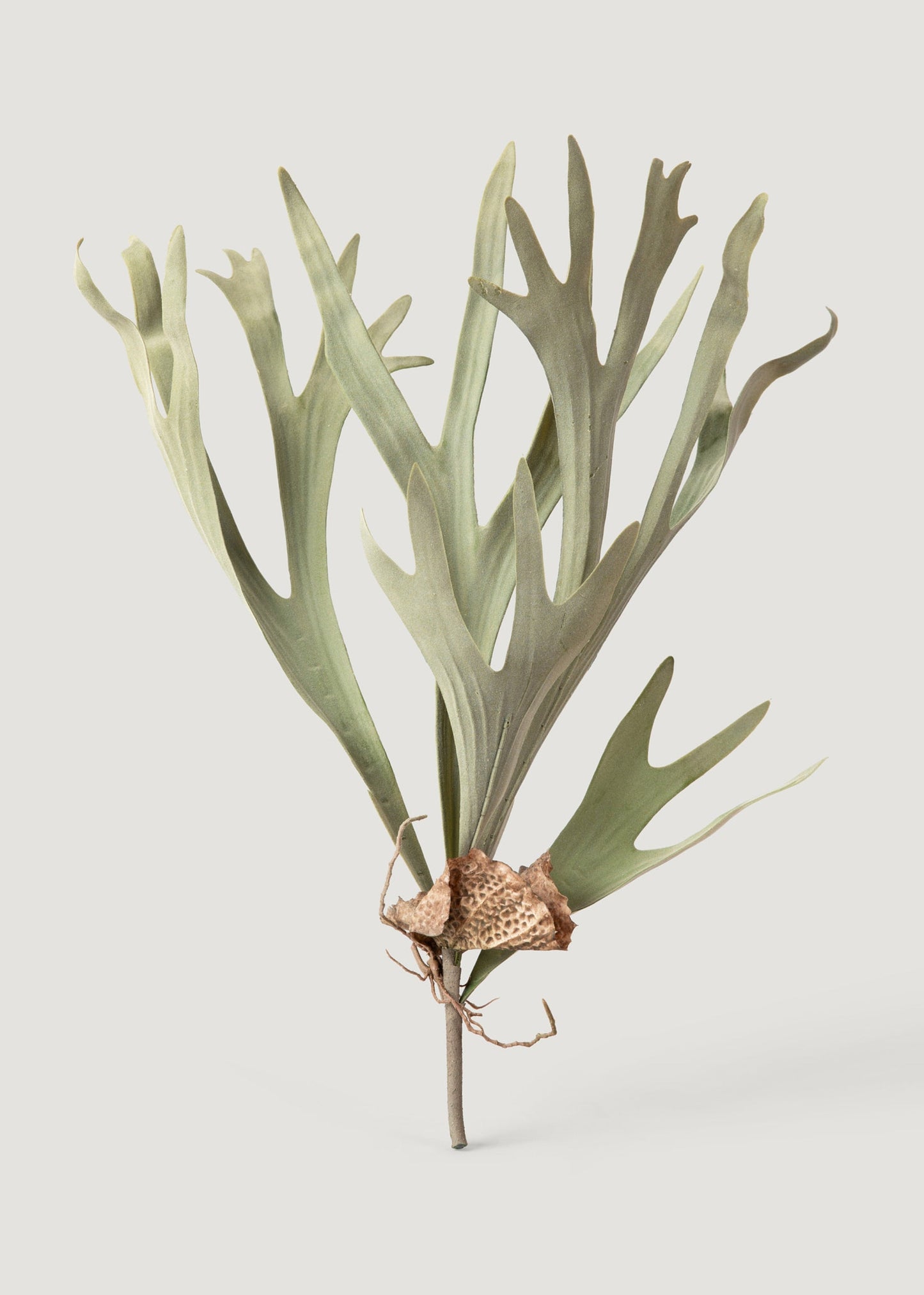 Fake Staghorn Plant - 24.5"
