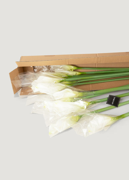 Case of 12 Artificial Calla Lily Stems in Cream 37"