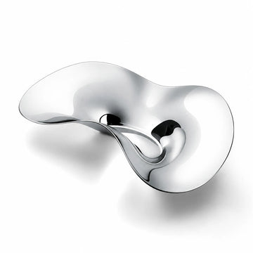 GOIFVORO™ Flowing Wing Stainless Steel Fruit Bowl – Sculptural Silver Serving Tray