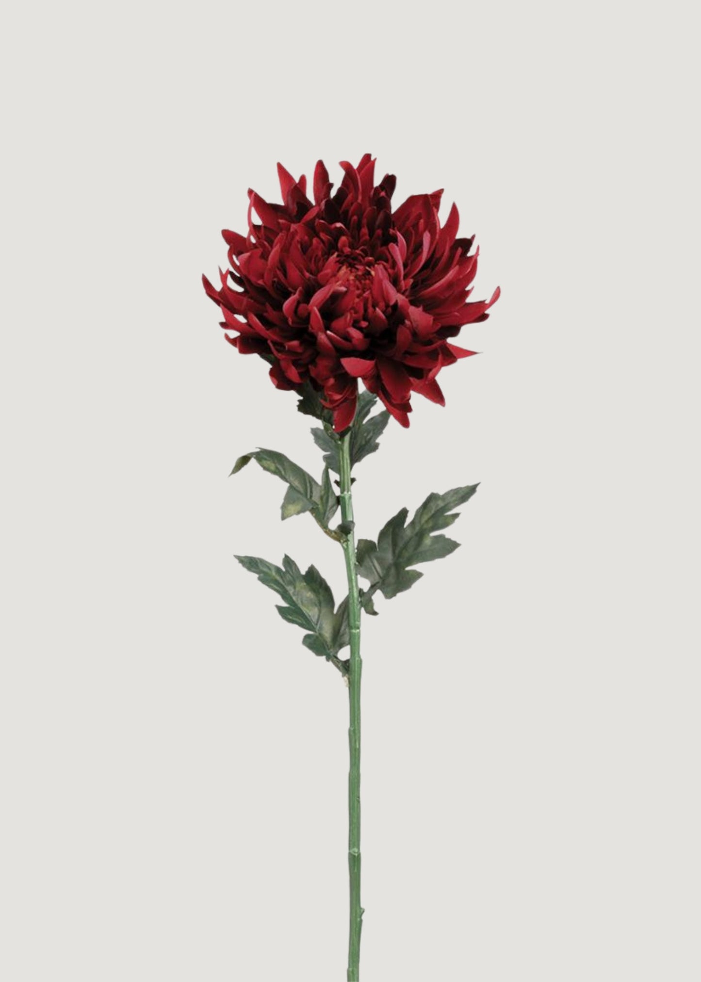 Burgundy Artificial Chrysanthemum Flower - 24"
