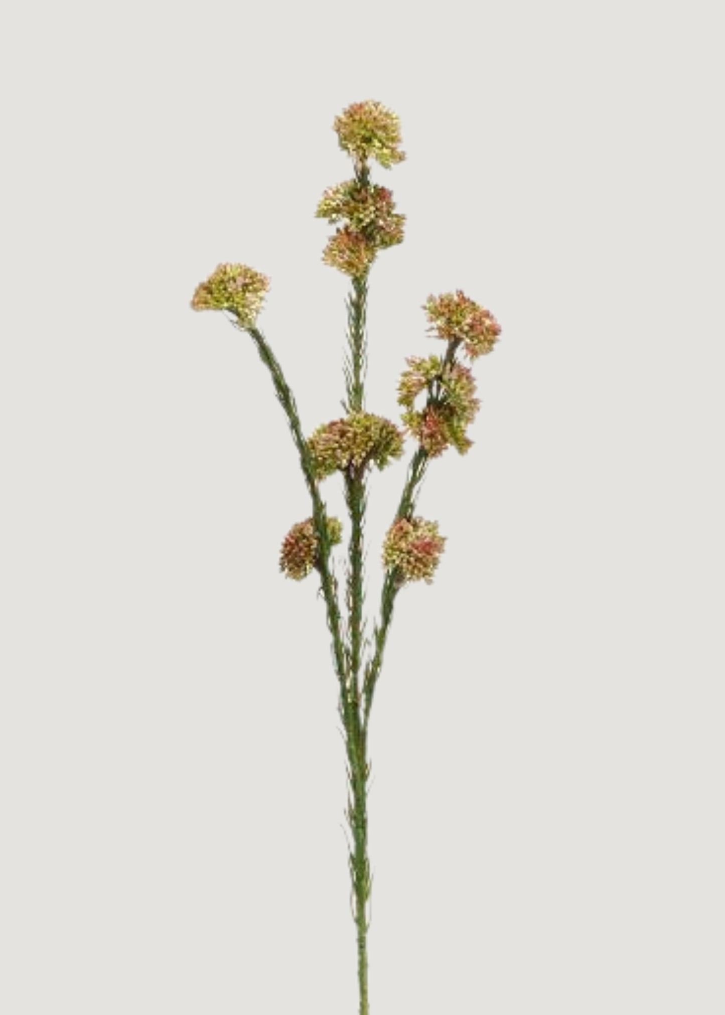 Fake Succulents Mauve Green Sedum Cluster Stem - 22"