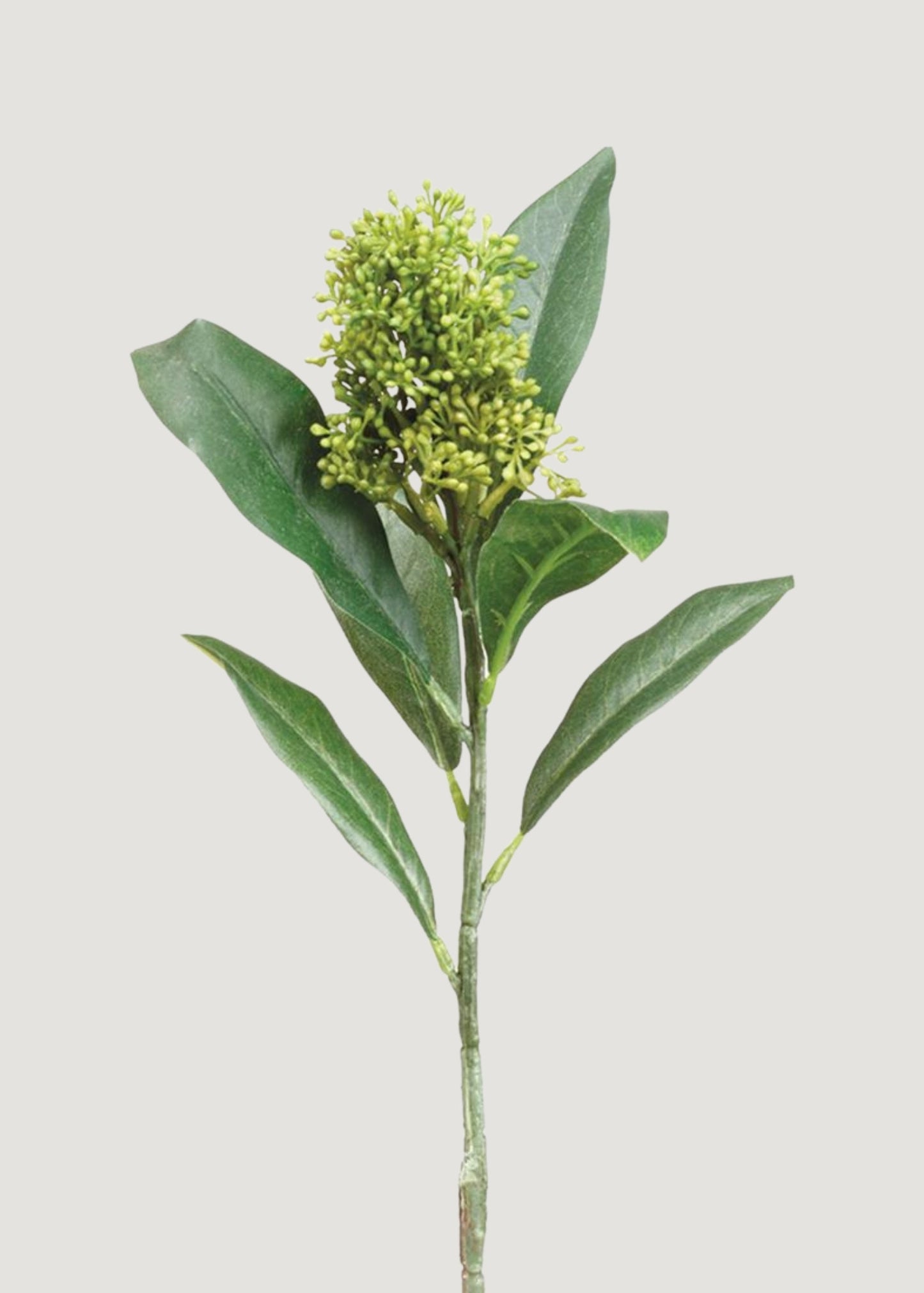 Green Artificial Skimmia Flower Pick - 13.5"