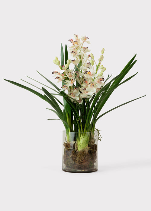 Cymbidium Orchid Potted Fake Plant in Glass Vase - 36"