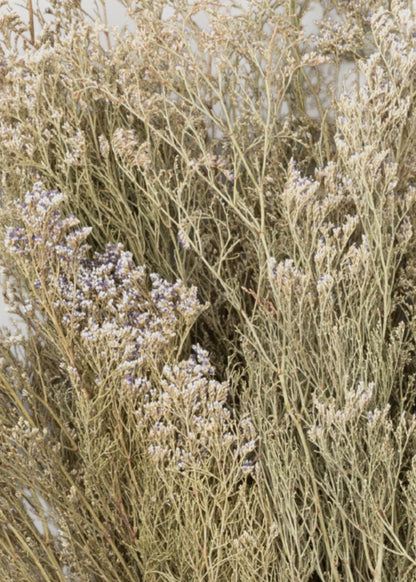 Natural White Dried Caspia Flowers - 4 oz Bunch