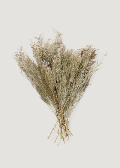 Natural White Dried Caspia Flowers - 4 oz Bunch