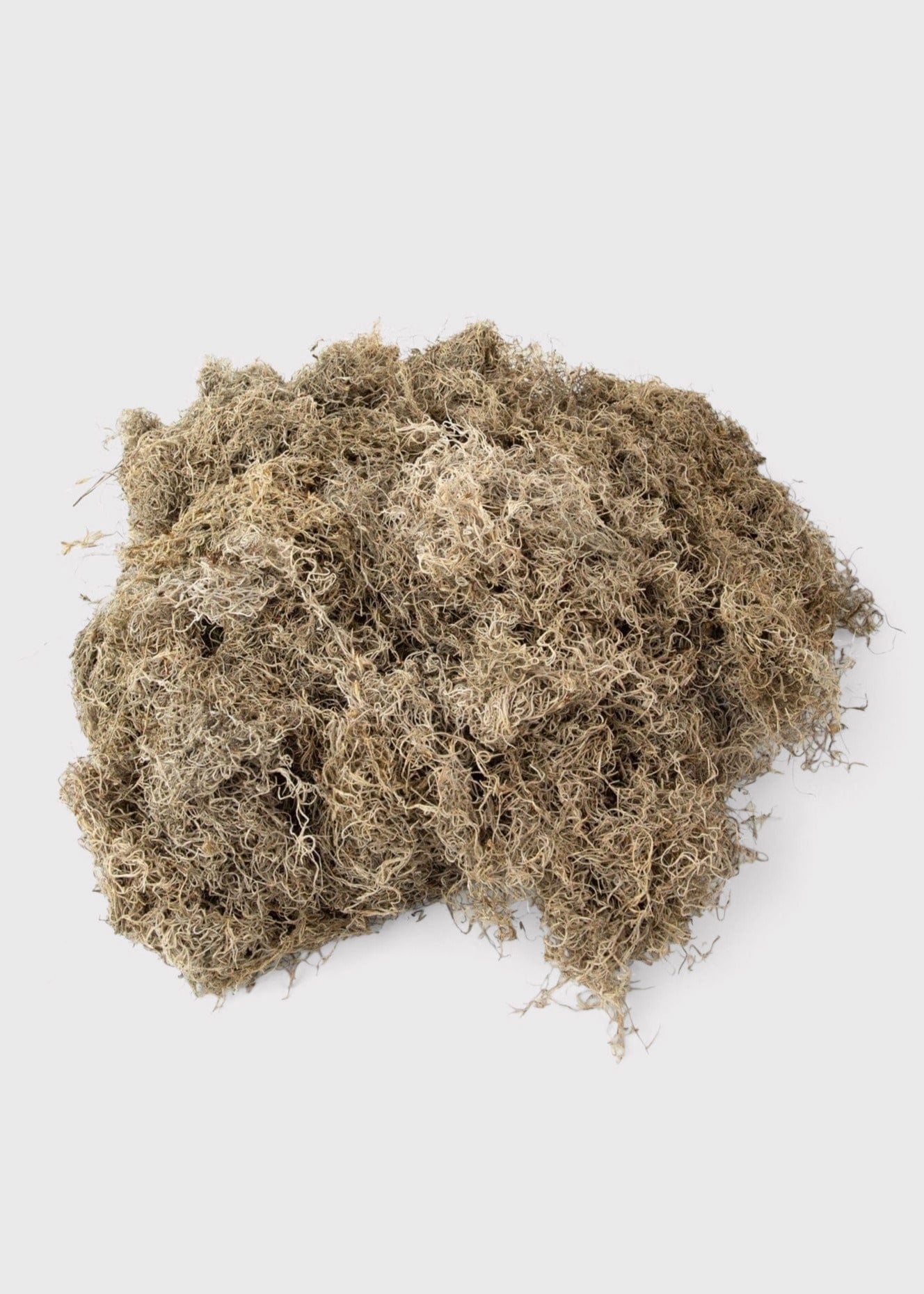 Natural Dried Spanish Moss