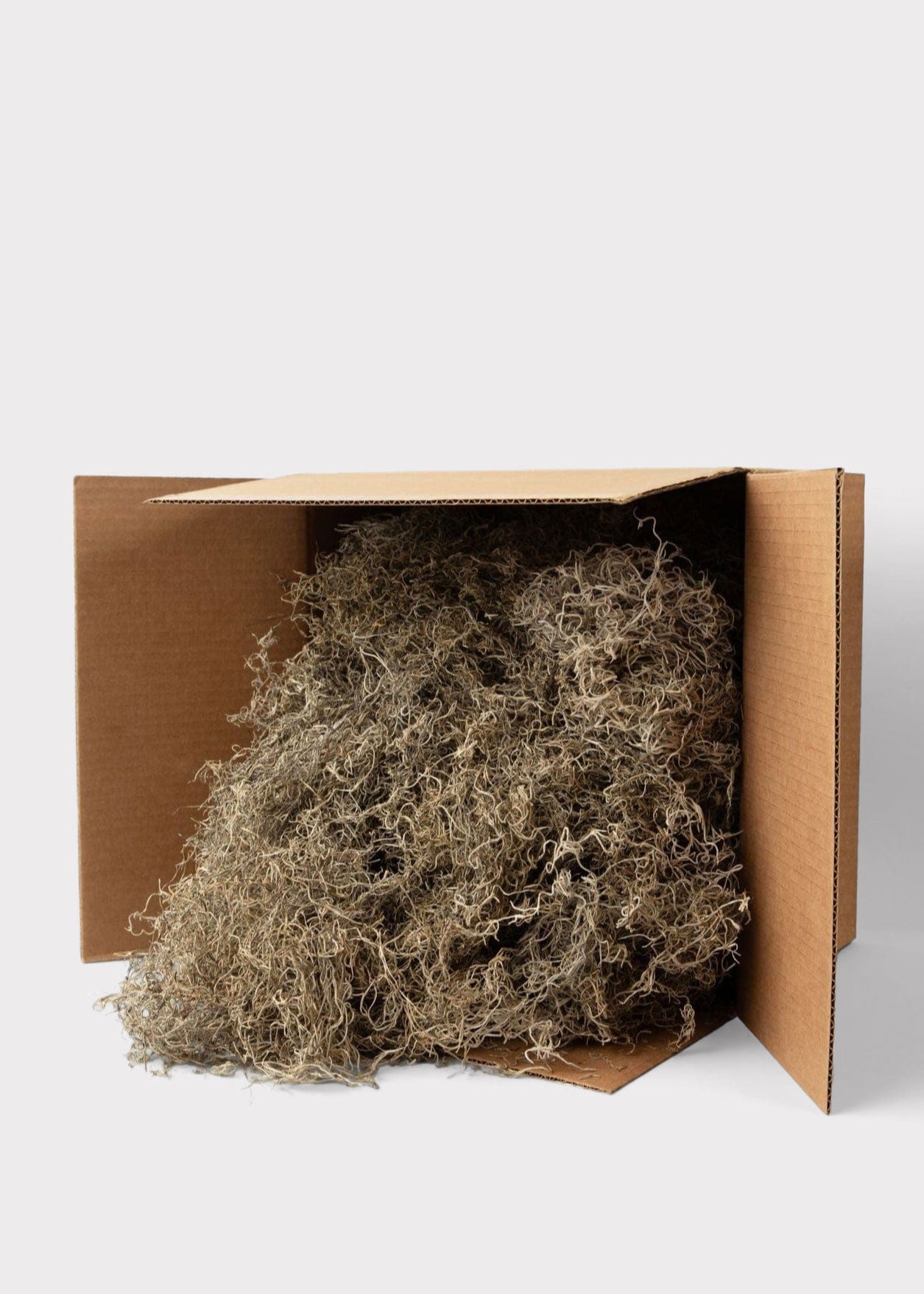 Natural Dried Spanish Moss