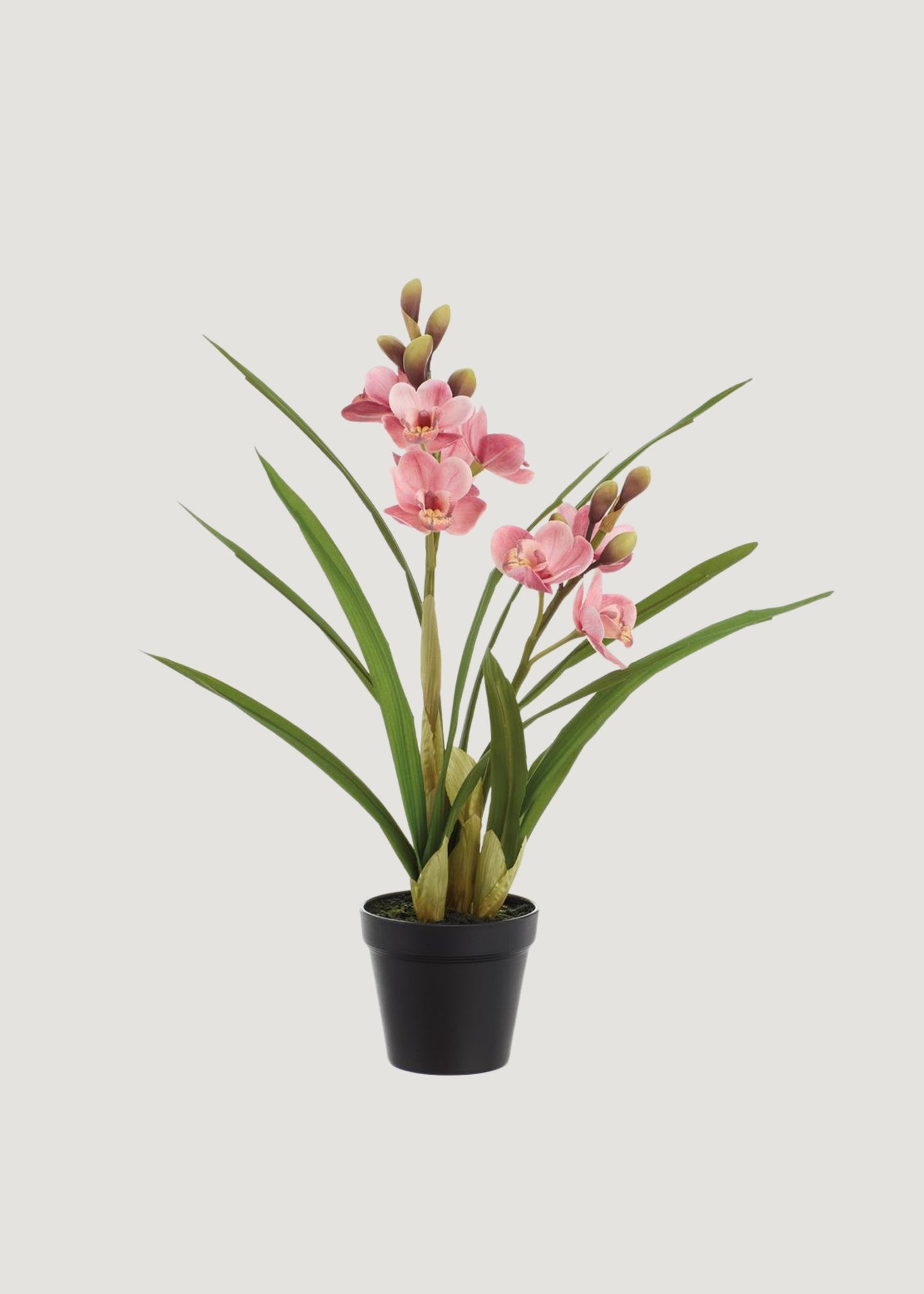 Pink Cymbidium Orchid Fake Potted Flower Arrangement - 21"