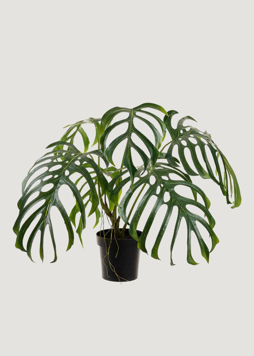 Large Fake Monstera Tropical Leaf Potted Plant - 31"