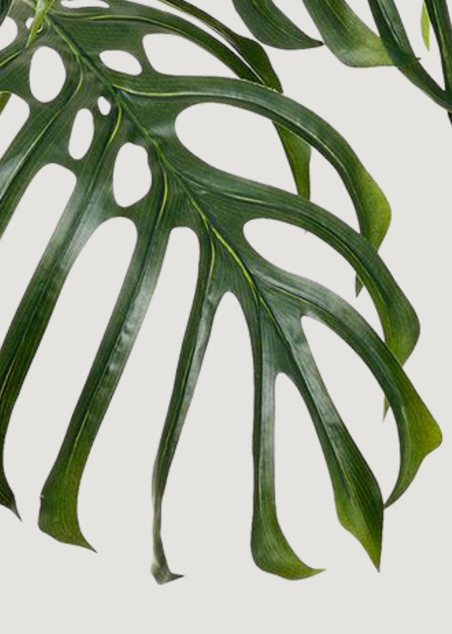 Large Fake Monstera Tropical Leaf Potted Plant - 31"