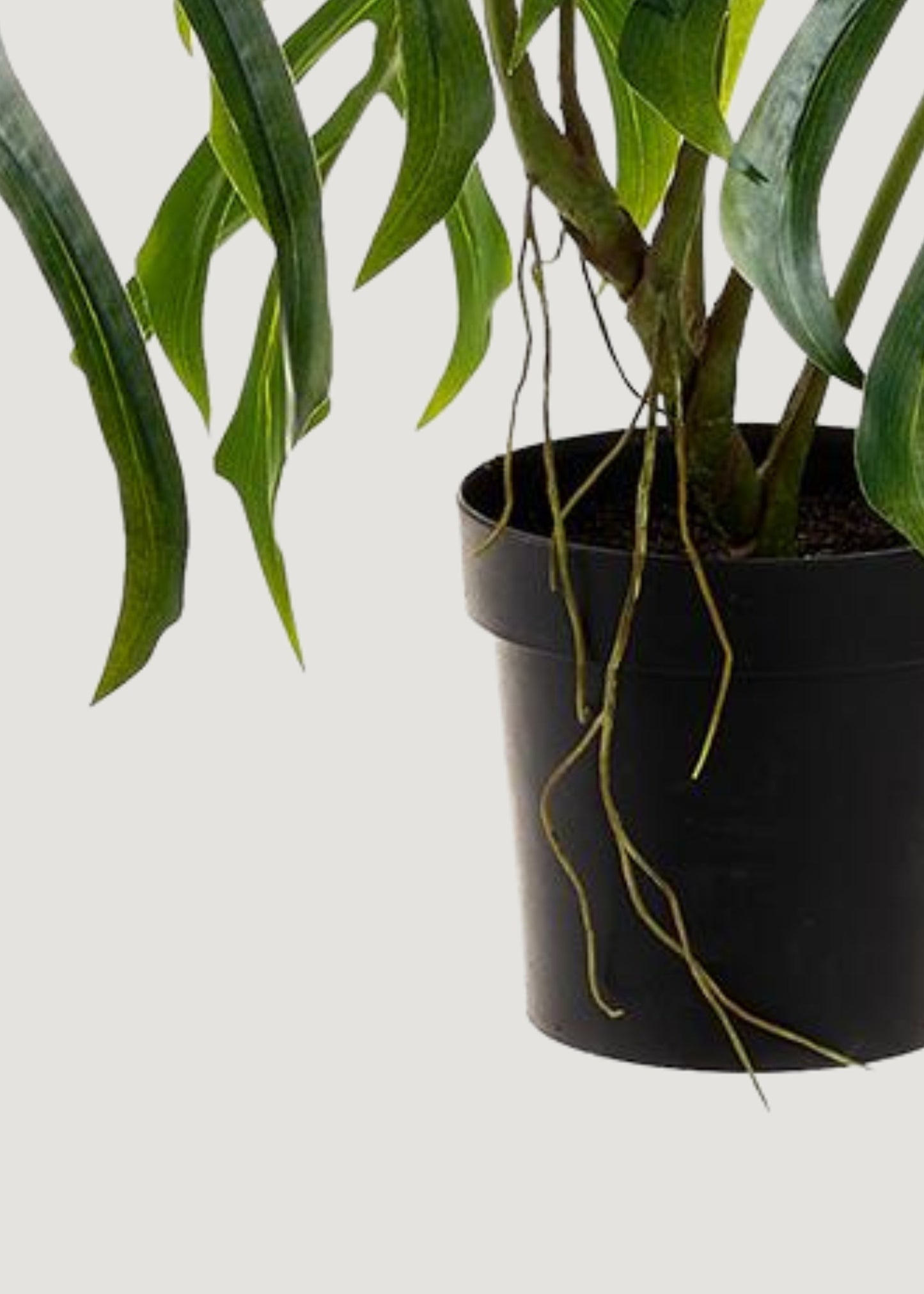 Large Fake Monstera Tropical Leaf Potted Plant - 31"