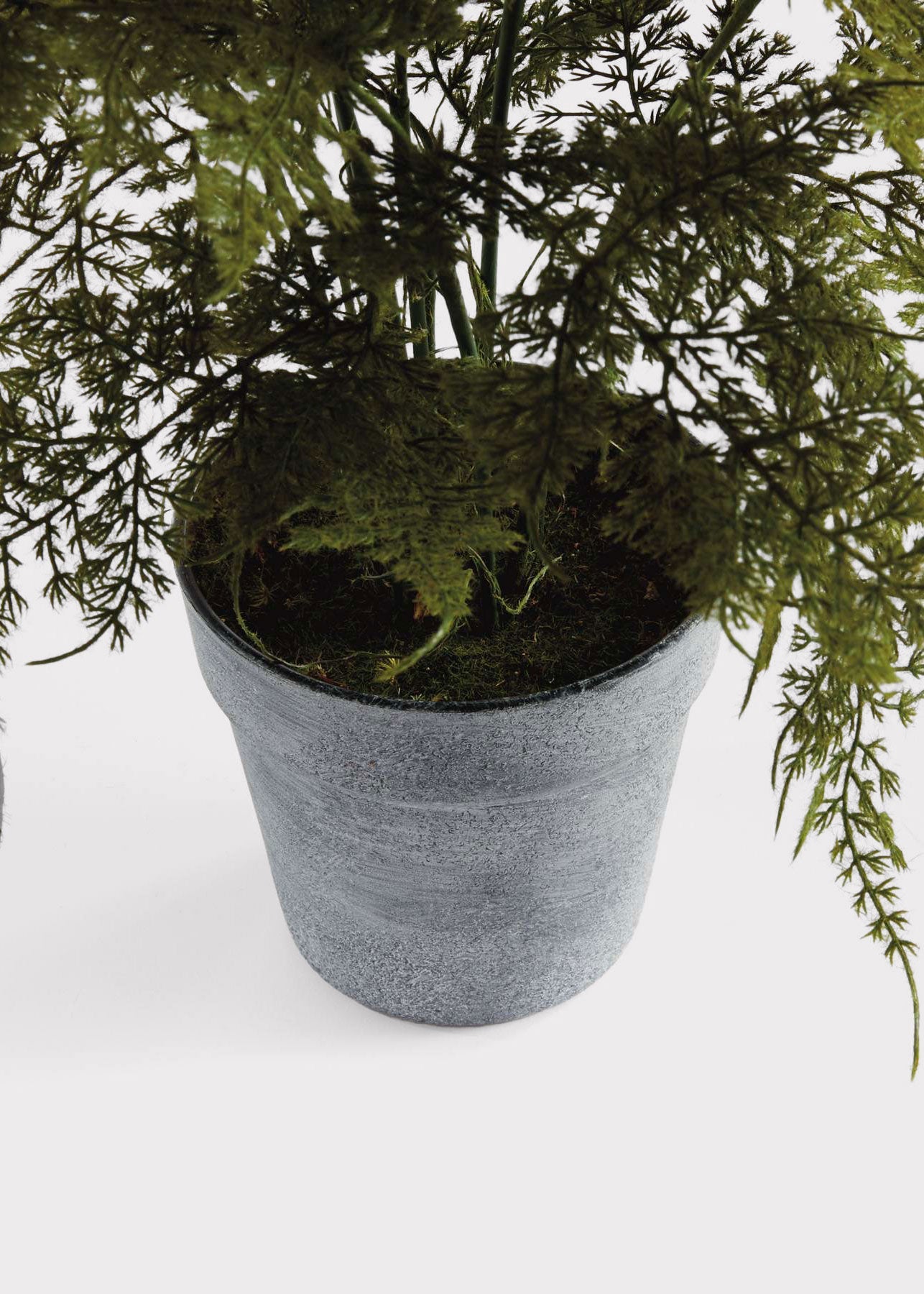 Artificial Plumosus Fern Potted Plant - 21"