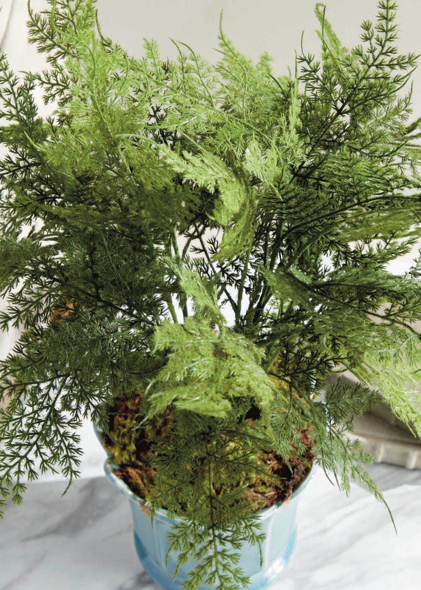 Artificial Plumosus Fern Potted Plant - 21"