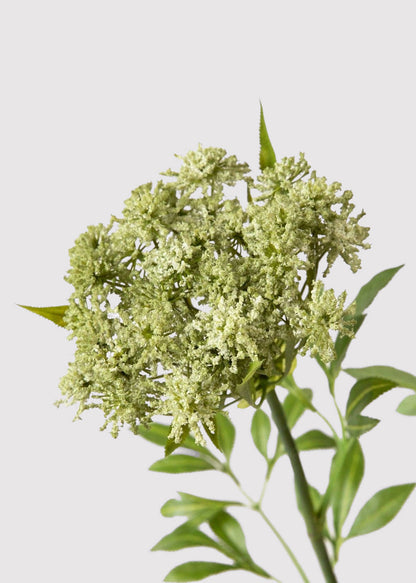 SAVE - Faux Queen Anne's Lace Wildflowers - 36"