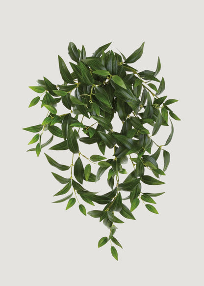 Artificial Hanging Ruscus Leaf Bush - 22"