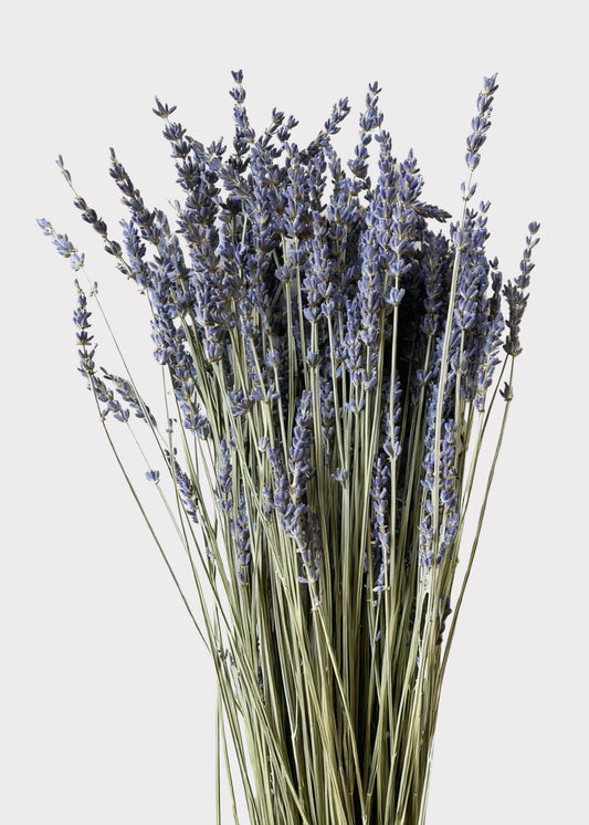 Natural Fragrant Lavender Dried Flowers - 3.5 oz Bunch