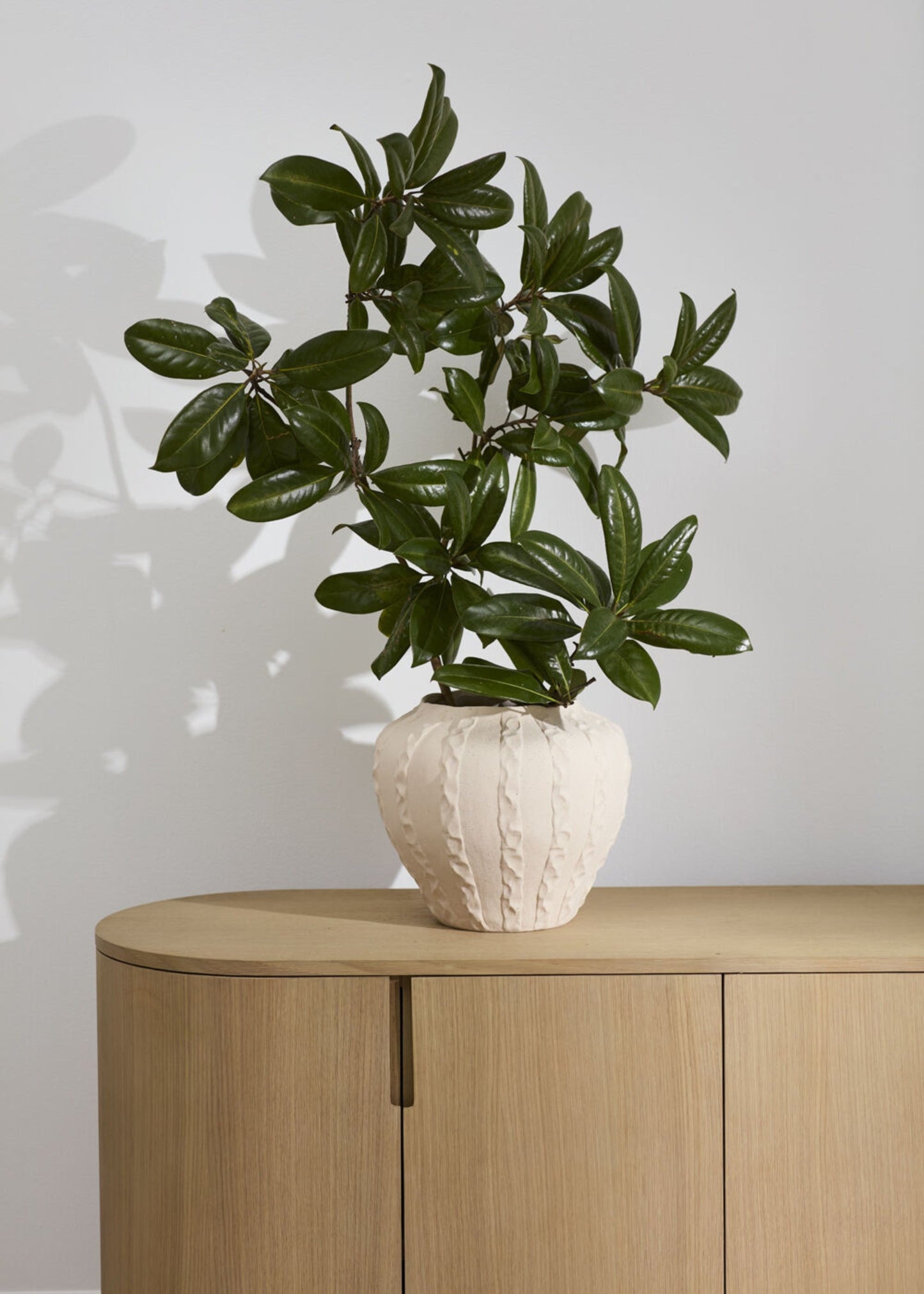 Textured Round Ceramic Argos Vase in Matte Sand Hue - 11.75"