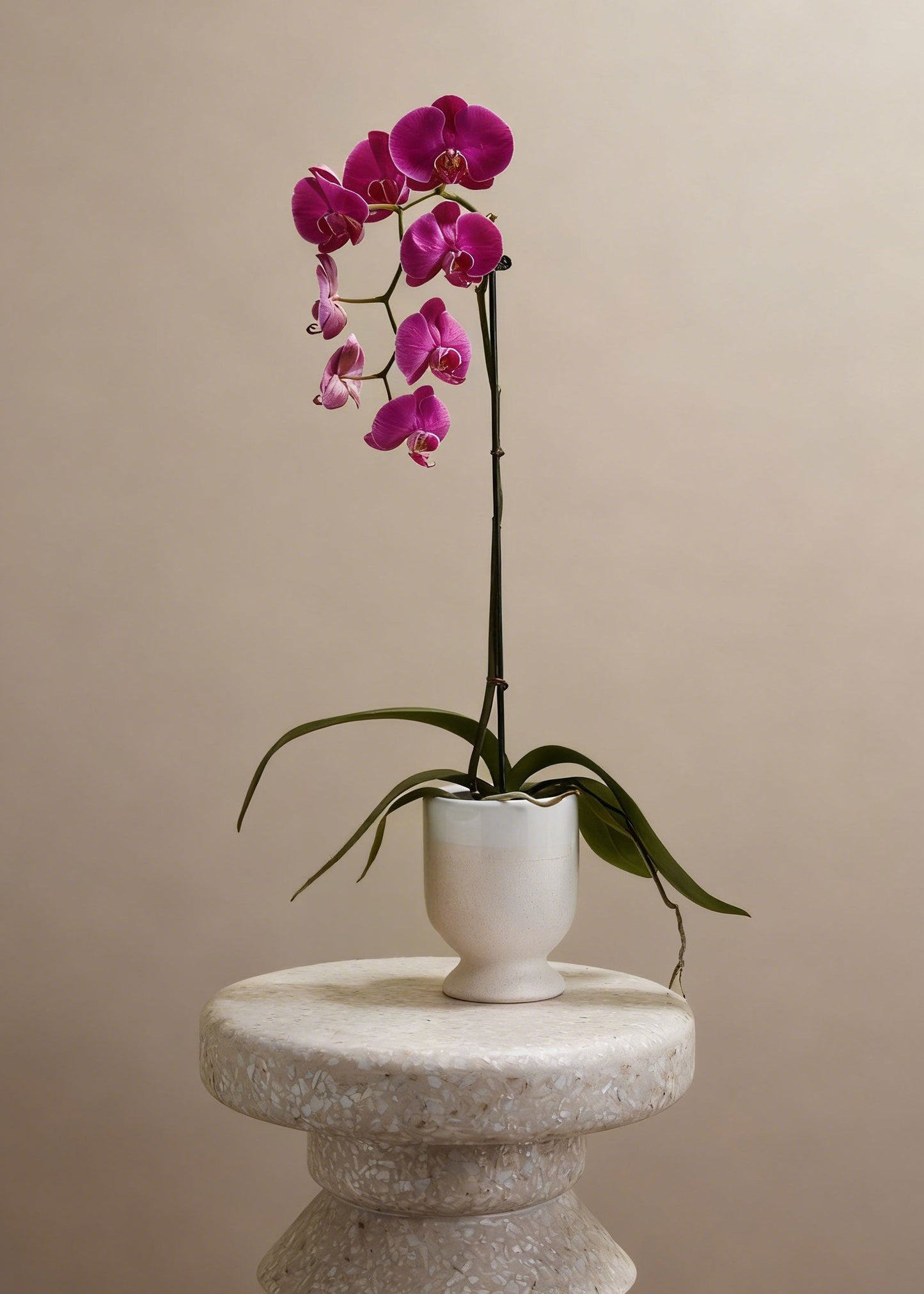 Footed Ceramic Laney Vase in Speckled White - 6.5"